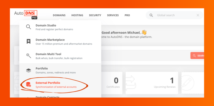 External domain portfolio in AutoDNS0